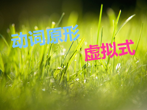 AEIS小二模拟试题,新加坡AEIS考试培训中心,新加坡AEIS培训北京,