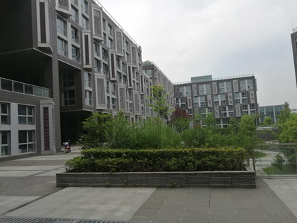 新加坡AEIS培训班,AEIS考试在线,AEIS考试
