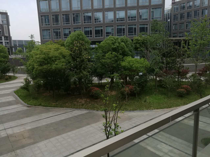 新加坡AEIS培训班,AEIS考试在线,AEIS考试