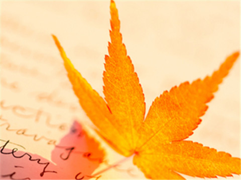 AEIS考试讲解Separate和Seperate的区别用法