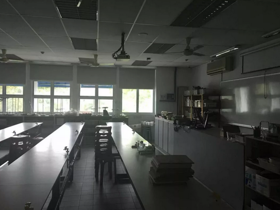 新加坡AEIS数学考题,AEIS
