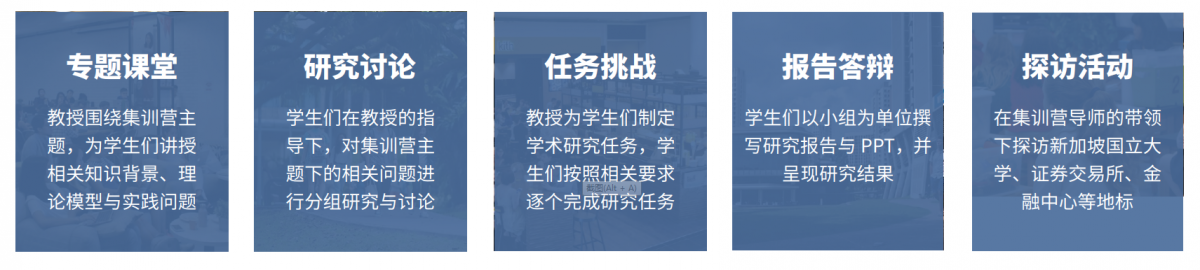 AEIS考试题目,新加坡国立大学