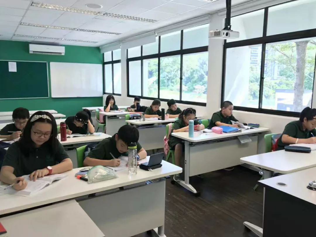 实现新加坡政府中小学梦的最后一道助力，就在AEIS暑期冲刺集训营！