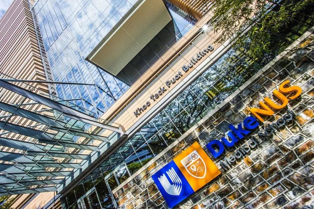 国大游学、CIS夏令营蓄势待发！