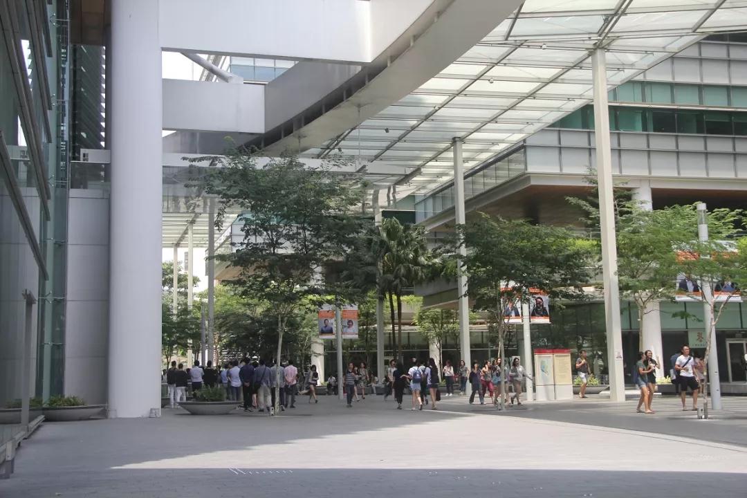 国大游学、CIS夏令营已准备就绪！