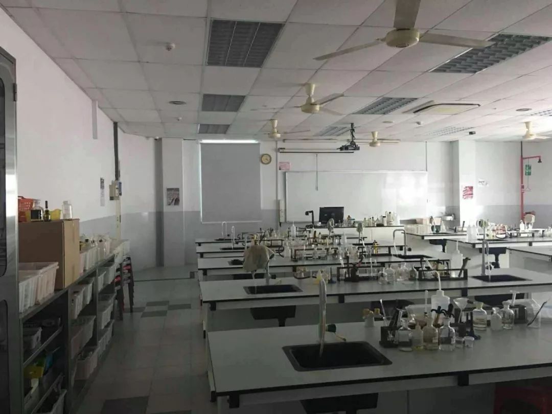 新加坡三育中小学申请